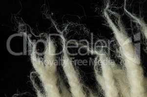 Wool fibers