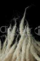 Wool fibers