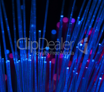 Optical fibers