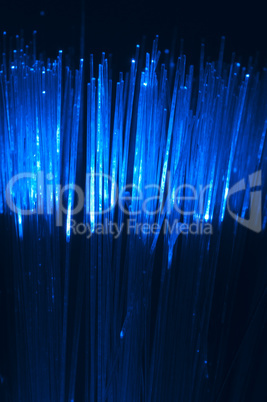 Optical fibers