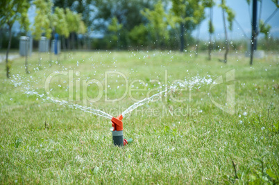 Sprinkler watering the green grass