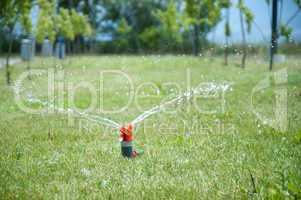 Sprinkler watering the green grass