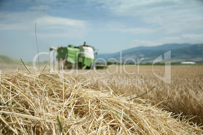 Tractor and combine harvested