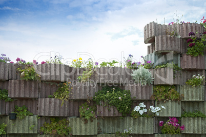 Flowers on wall