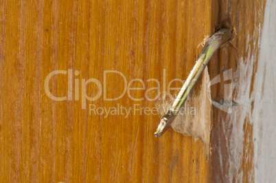 Door lock close up