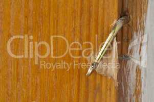 Door lock close up