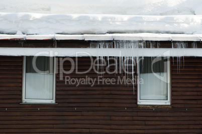 Icicles on window