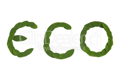 Eco text