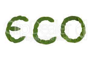 Eco text