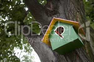 Home-made bright colored bird house