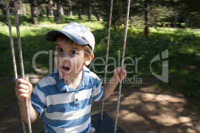 Boy on swing in forest