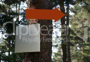 Arrow and sign on tree in forest.