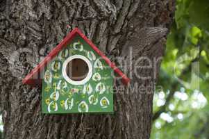 Home-made bright colored bird house.