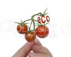 Environmental vegetables - tomatoes