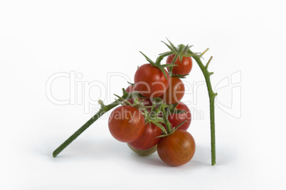 Cherry tomatoes with stem