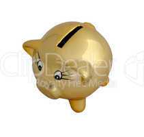 Money box pig