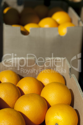 Oranges in boxes