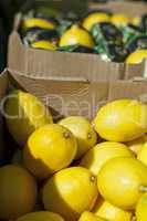 Lemons in boxes