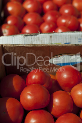 Tomatoes in boxes in Wholesale market