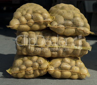 Potatoes in mesh bags