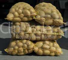 Potatoes in mesh bags