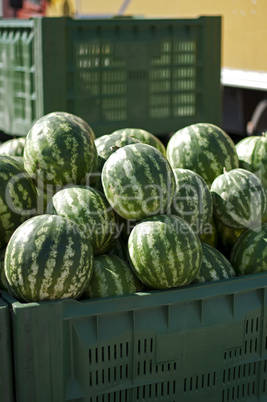 Watermelons in large crates