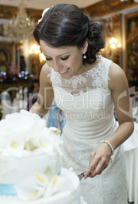 smiling beautiful bride cutting the wedding cake