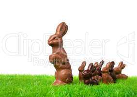 chocolate bunnies