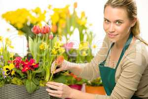 florist arrange spring flowers colorful plants