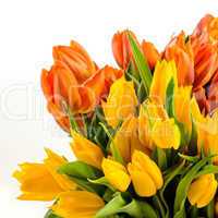 bunch of spring tulips flowers colorful