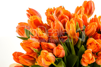 bunch of spring tulips flowers