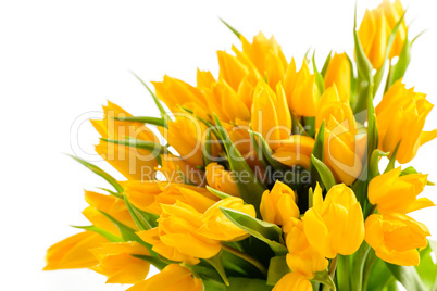 bunch of yellow tulips spring flowers