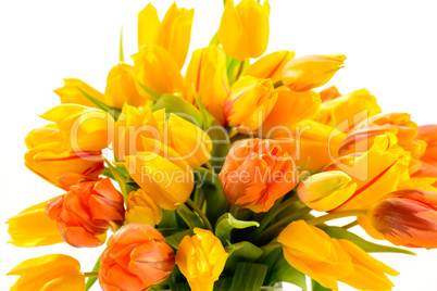 beautiful bunch of tulip flowers spring