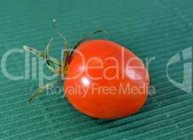Cherry tomato on a green background