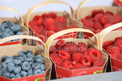 berries at the market