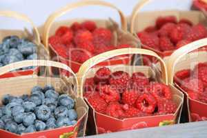 berries at the market