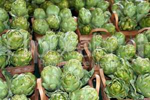 Globe artichokes at the market