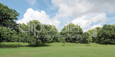 Kensington gardens, London