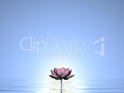 lily flower - 3d render