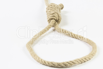 noose on white