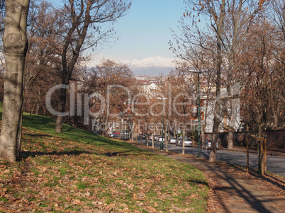 Turin view