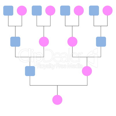 family tree