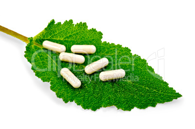 Capsules beige on green leaf sage