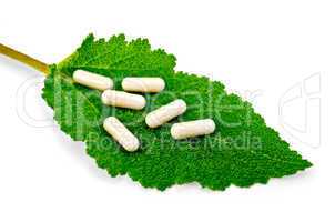 Capsules beige on green leaf sage