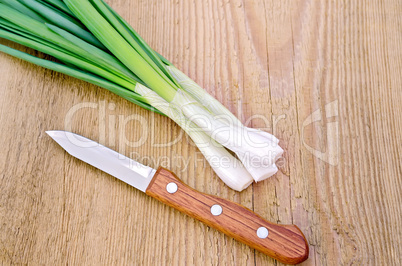 Chives with knife on board