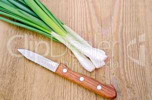 Chives with knife on board