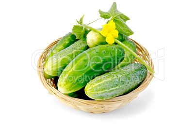 Cucumber with flower in a wicker basket