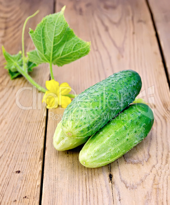 Cucumber with flower on a blackboard