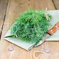 Dill with a knife on board