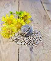 Herbal tea from the root of elecampane in strainer